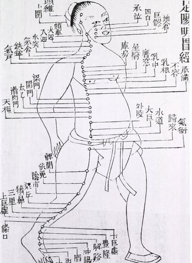 schéma ancien des méridiens de la médecine traditionnelle chinoise, caractère chinois