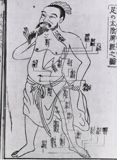 schéma ancien des méridiens d'énergétique chinoise