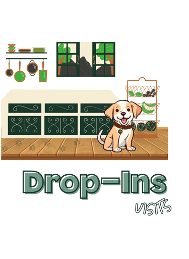 Illustration for Julia's Pet Pals drop-in visits in Boston, featuring a happy dog in a cozy kitchen with the text 'Drop-Ins'
