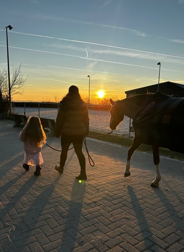 Ponytante und ihr Pferd im Sonnenuntergang