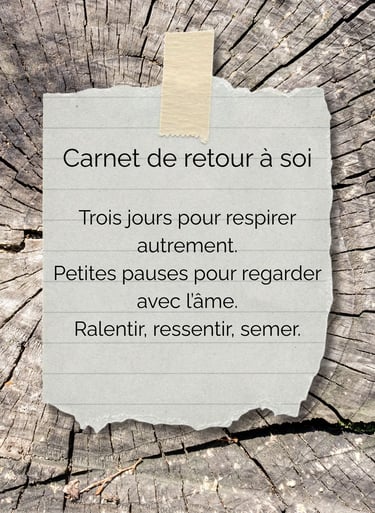 visuel du kit créatif