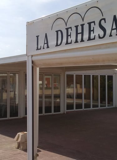 Cerramientos en la terraza de playa de un Restaurante típico valenciano.