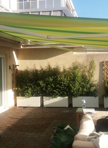Toldo de brazos extensibles en tonos verdes y amarillos. Terraza atico.