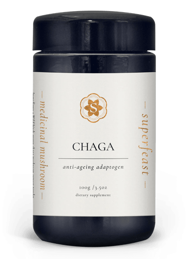 medicinal mushrooms chaga