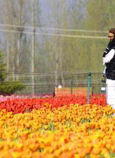 a man standing in the tulips of tulip garden srinagar during his kashmir trip