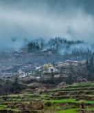 uttarakhand-fs-holidays