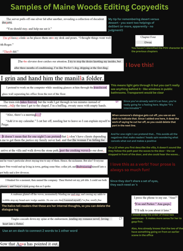 A sample of MWE's copyediting