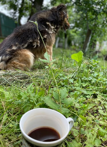 a dog sitting on the grass next to a cup of coffee
