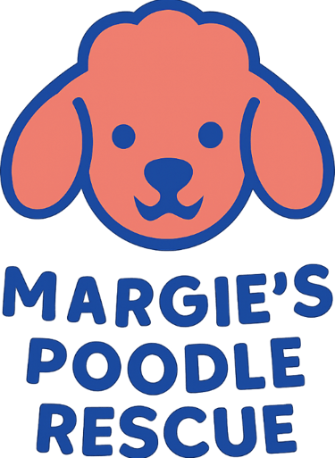 Margie's mini poodle and toy poodle rescue