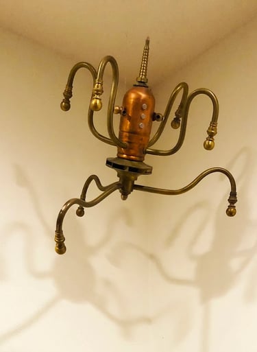 Talbotics sea creature at home in Santa Barbara.