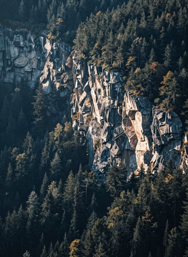 A majestic wide-angle nature landscape featuring a dense forest and rugged cliffs, perfect for stock footage. Cinematic, high-fidelity mood. Incorporating #1B263B, #415A77, #A0B0C0, #E0E1DD.