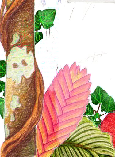 illustration nature sauvage crayon couleur