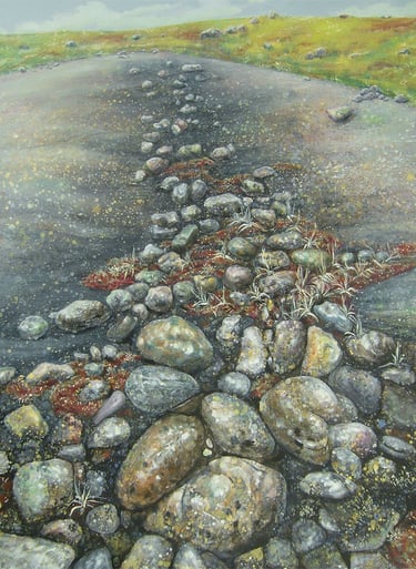 bed of rocks near Iqaluit