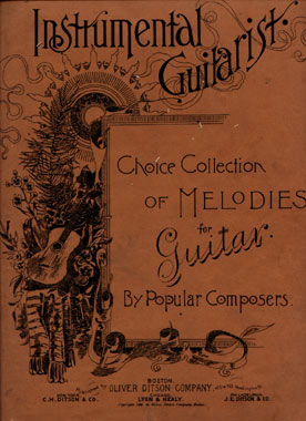 Instrumental Guitarist