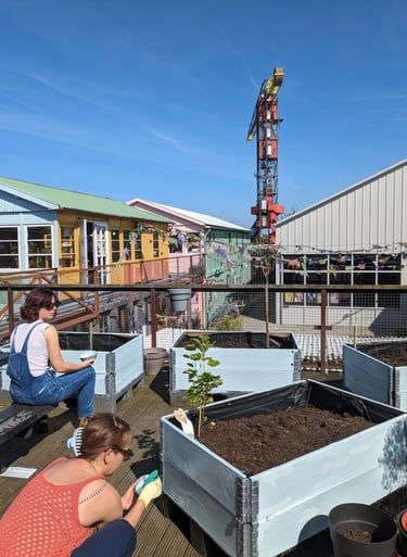 Creative Garden preparation