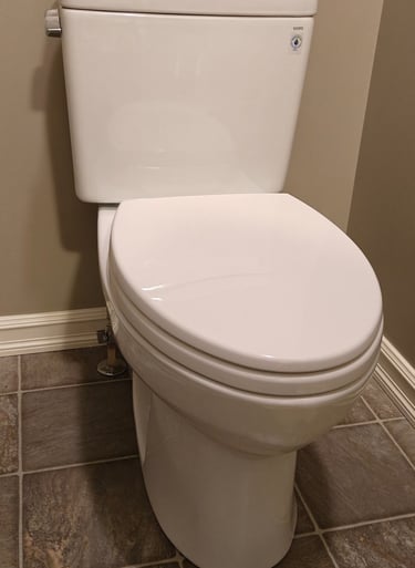 Toilet Replacement