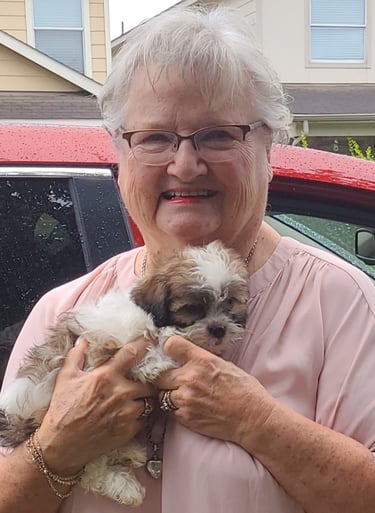 Perfect Paw Pups MalShi Family Adoption