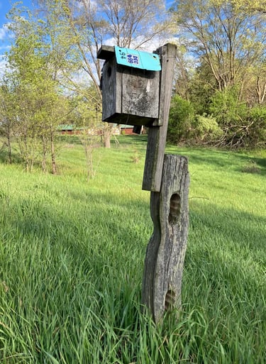 A birdhouse along side a road in Montello, Wisconsin