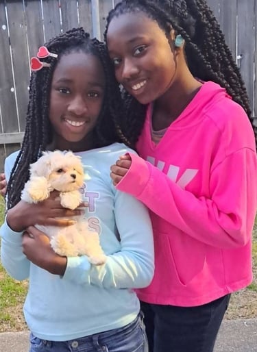 Designer Teacup Mal-Shi Puppy with Family