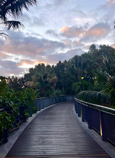 a wooden walkway leading to a lush green area in the sunset, the possible path