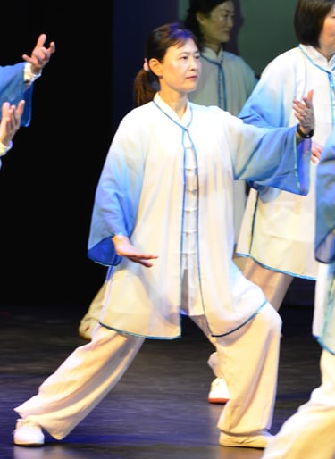 Tai Chi 24 Forms Performance