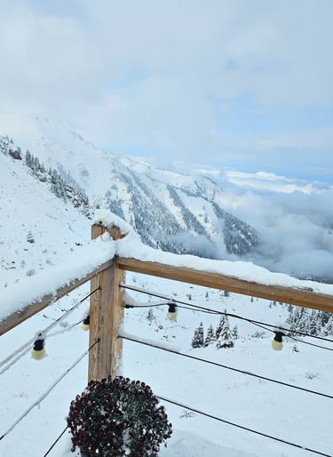 best visa services in dubai