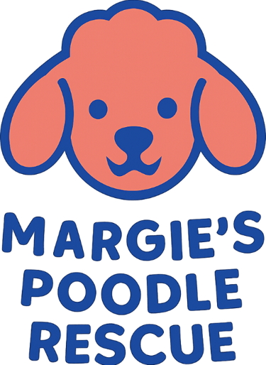 Margie's mini poodle and toy poodle rescue