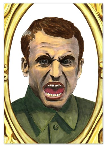 portrait emmanuel couleur satire