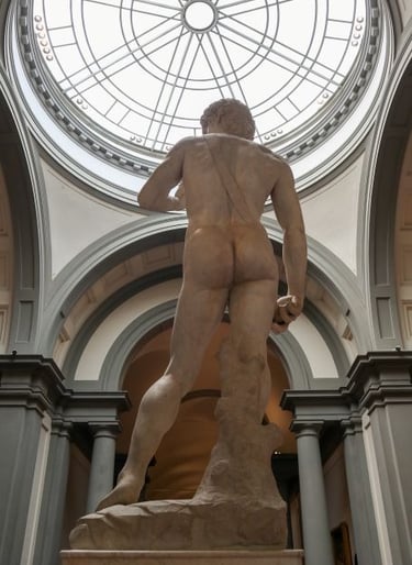 david-michelangelo