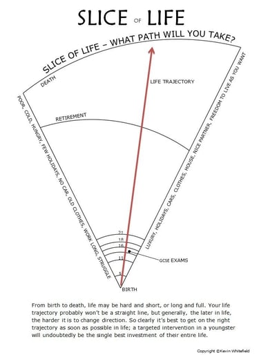 Slice of Life infographic depicting life trajectory