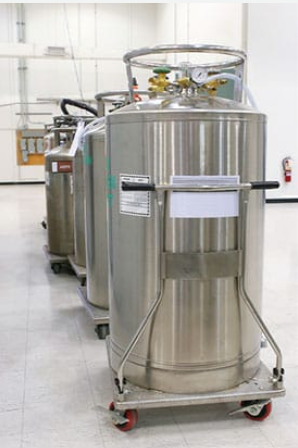 Cryogenic Dewar Ranger criogénico NITROGEN OXYGENO OXYGEN