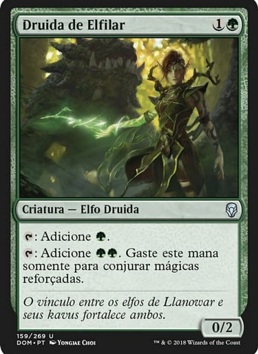 Magic: The Gathering Elfhame Druid card featuring a female elf druid standing next to a large green creature.