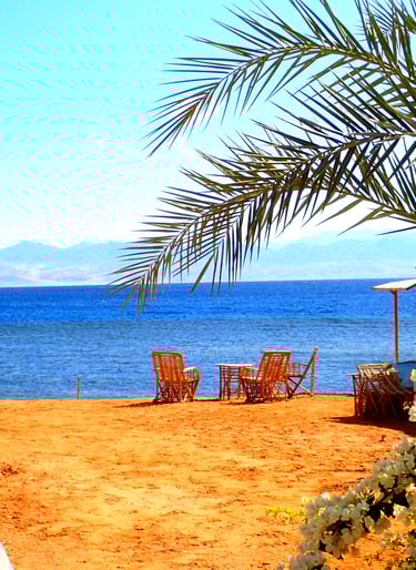 海の前に花とヤシの木が咲き誇るビーチ。家族での休暇に最適な雰囲気です。