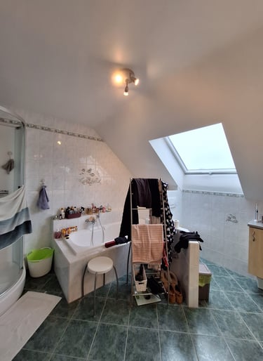 Salle de bain avant rénovation avec un velux, une baignoire et une douche