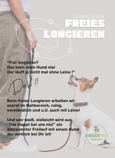 Werbebild für den Hundetrainingskurs ‚Freies Longieren‘ mit einem kleinen Hund