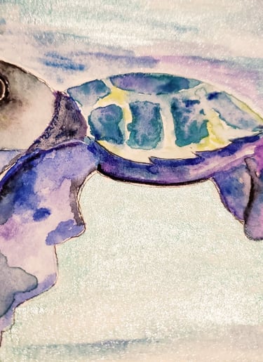 sea turtle watercolor