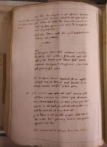 Paper records from 1302 Bologna.