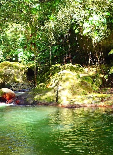 Canyon Voyage France Guadeloupe