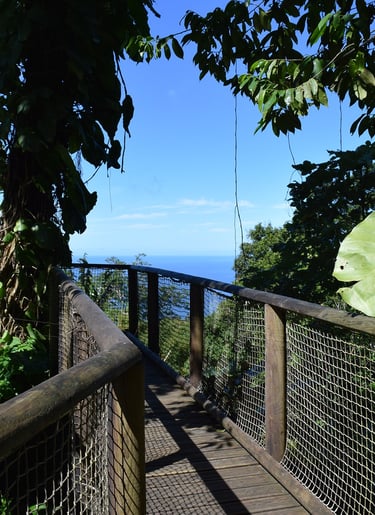 Voyage France Guadeloupe Zoo