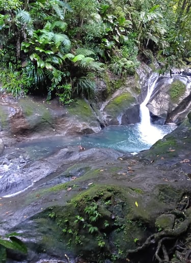 akwaform voyage france guadeloupe