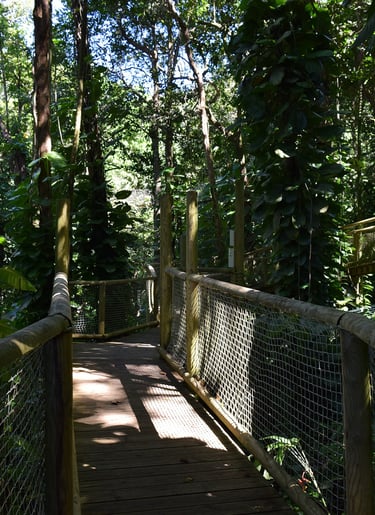Voyage France Guadeloupe Zoo