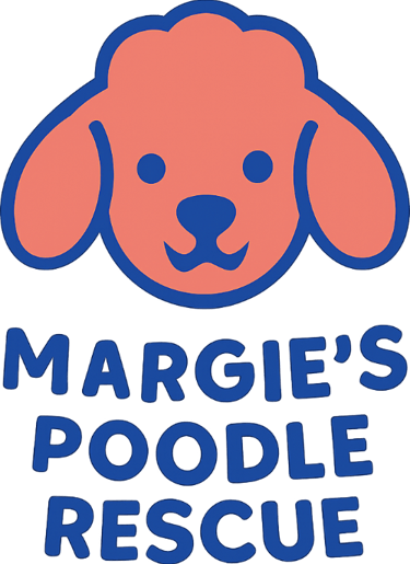 Margie's mini poodle and toy poodle rescue