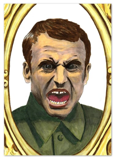 portrait emmanuel couleur satire