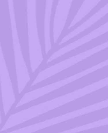 purple background with purple leaf