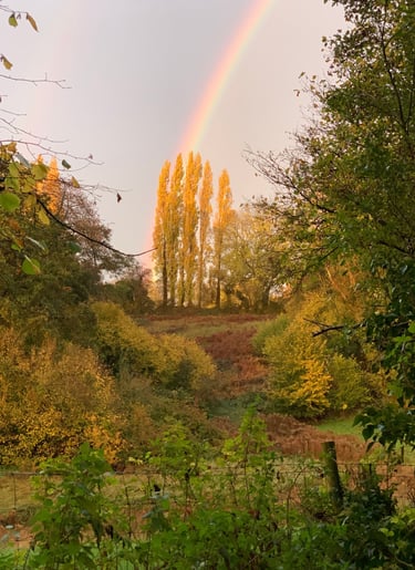 Early Autumn walks around Pool Hill.