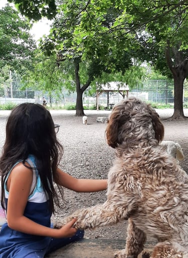 little girl holding a dog paws at the park