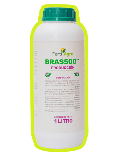 hormonas vegetales brasinoesteroides aumentan la producción 