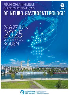 Affiche réunion GFNG 2025