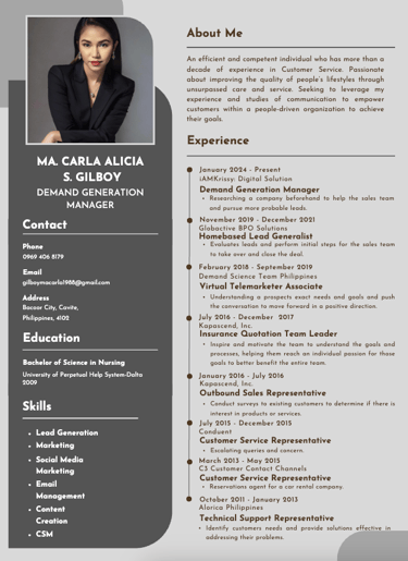 a professional resumen for a professional resume