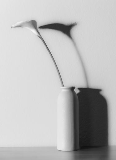 Still Life B&W